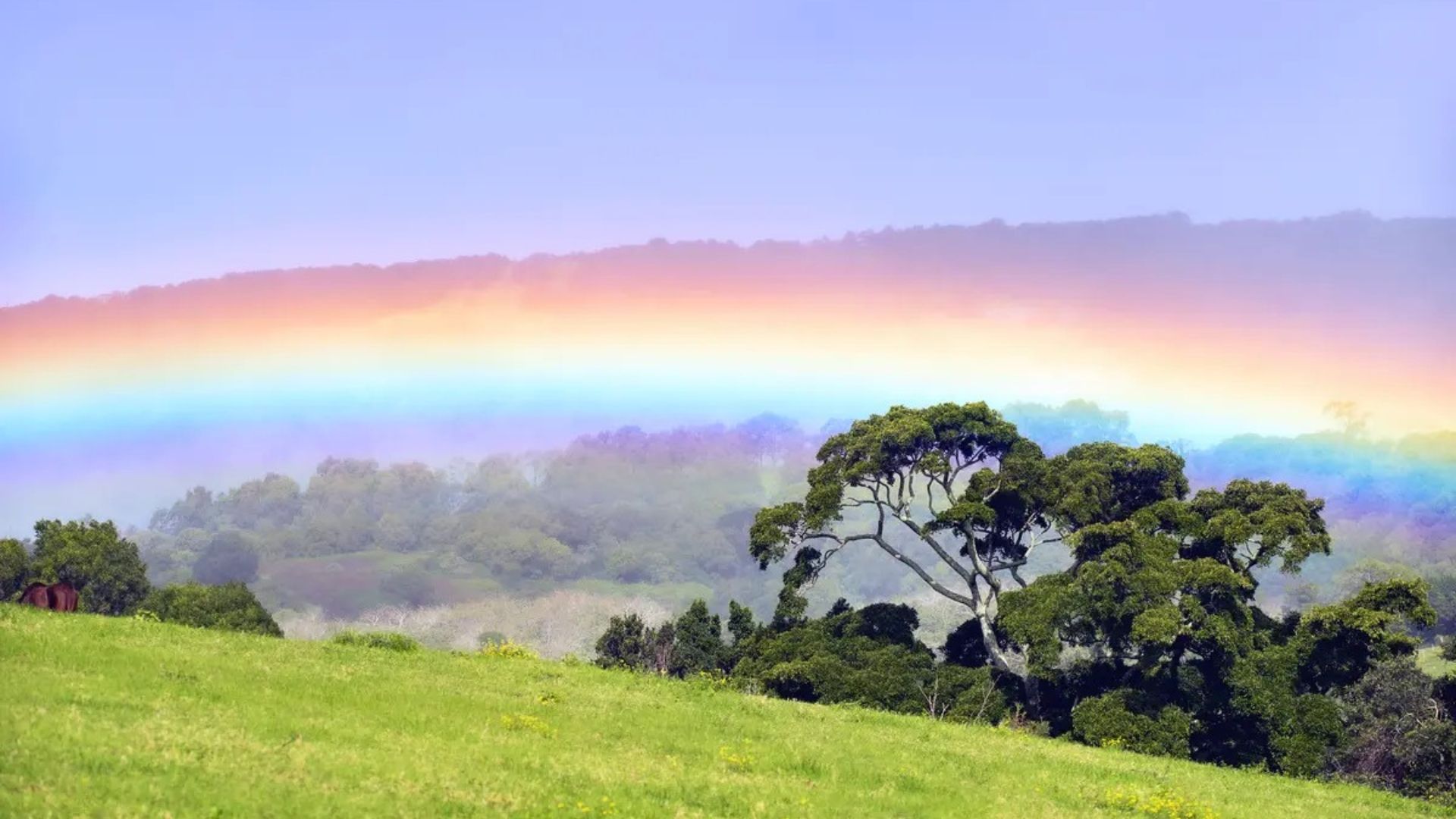 A landscape shot of Jamberoo with a rainbow.