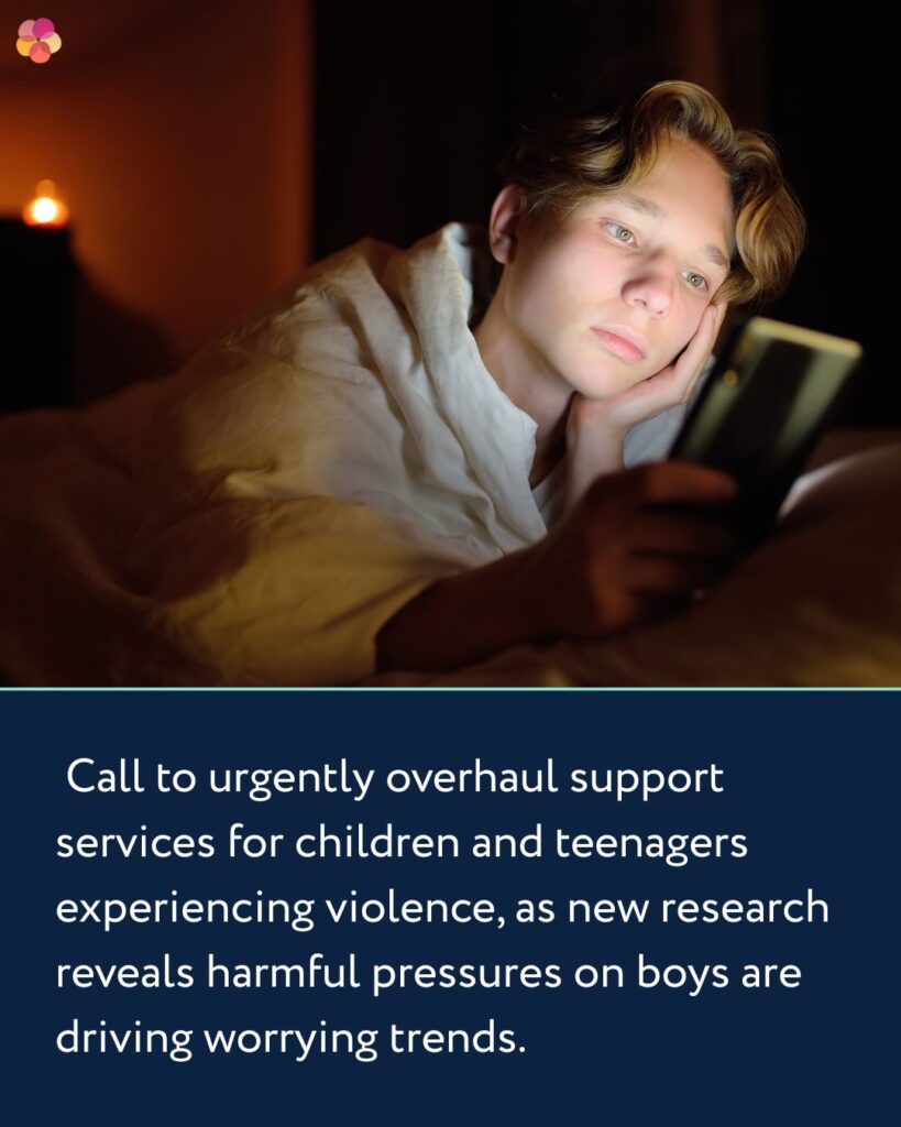 Urgent call to prevent male teen masculinity from fuelling domestic, family and sexual violence